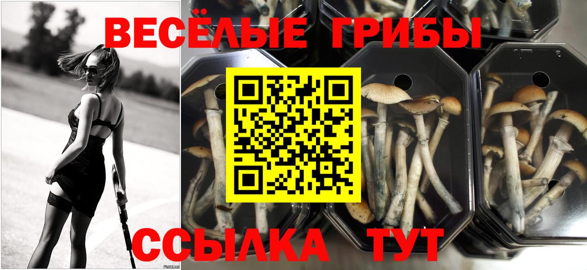 Псилоцибиновые грибы Magic Shrooms Богородицк