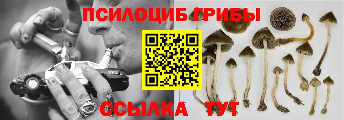 Псилоцибиновые грибы Psilocybe  Псилоцибиновые грибы Cubensis  где можно купить   Вход с VPN  Богородицк 